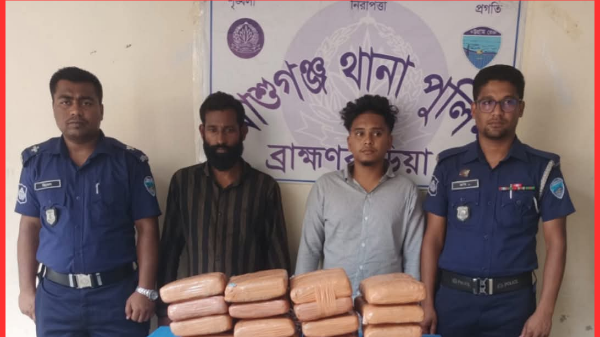 আশুগঞ্জে ২০ কেজি গাঁজা উদ্ধার, গ্রেফতার ২ মাদক কারবারি