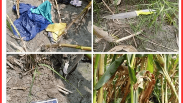 ডিমলায় ভুট্টা ক্ষেতে পুলিশের পোশাক ও সরঞ্জাম উদ্ধার: এলাকায় চাঞ্চল্য ও আতঙ্ক