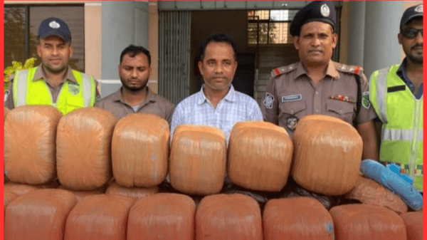 নোহা মাইক্রোবাসে করে পাচারের সময় ১২০ কেজি গাঁজাসহ দুই মাদক কারবারি আটক