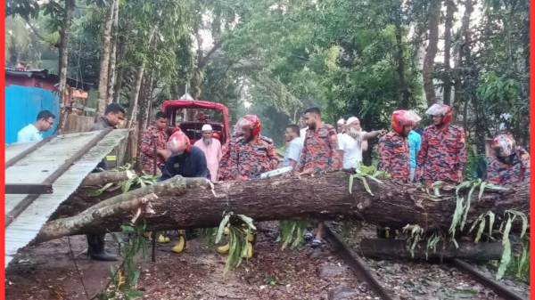 নোয়াখালী জেলায় কালবৈশাখী ঝড়ে ট্রেন চলাচল ব্যাহত