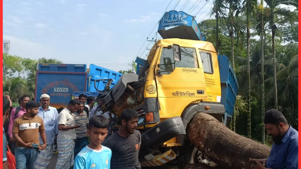 নোয়াখালী সদর উপজেলায় ভয়াবহ সড়ক দুর্ঘটনা, আহত ১