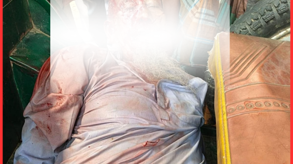 সালথায় ইজিবাইক-নসিমন সংঘর্ষে বৃদ্ধ নিহত, আহত ৩